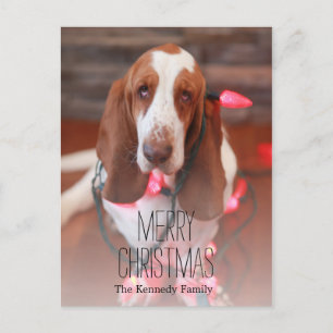 Cartes Pour Fêtes Annuelles basset hound, noël, lumières de noël