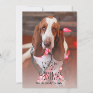 Cartes Pour Fêtes Annuelles basset hound, noël, lumières de noël