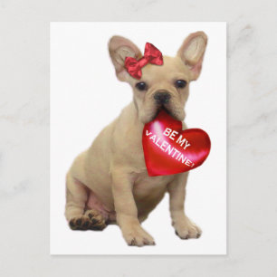 Cartes Pour Fêtes Annuelles Be My Valentine French bulldog