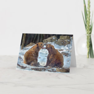 Cartes Pour Fêtes Annuelles Bear Smooch Holiday Card