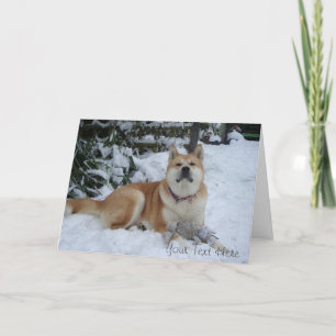 Cartes Pour Fêtes Annuelles beau chien akita reposant dans la neige noël
