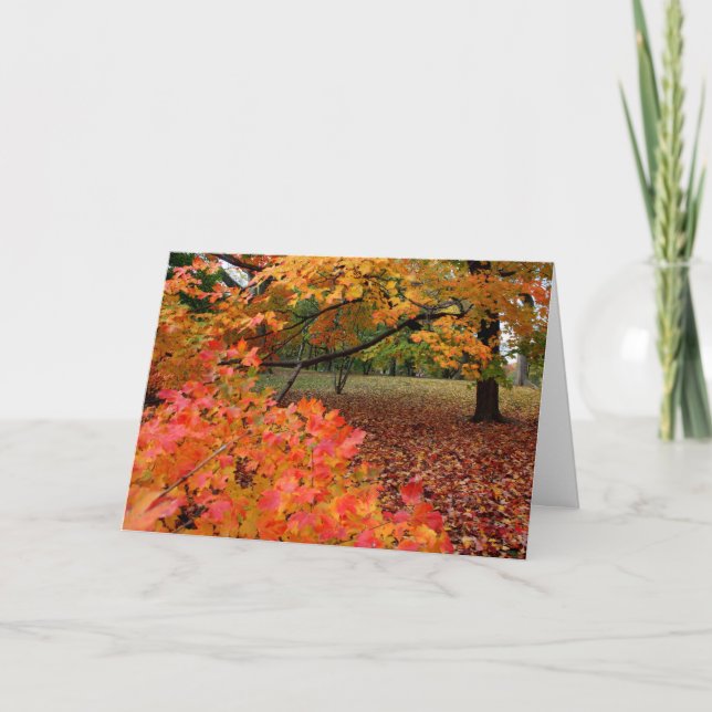 Cartes Pour Fêtes Annuelles Beauté d'automne (Devant)