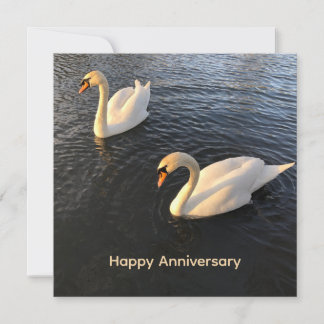 Cartes Pour Fêtes Annuelles Beautiful swans Anniversary
