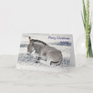 Cartes Pour Fêtes Annuelles Bébé mignon âne à Noël de neige