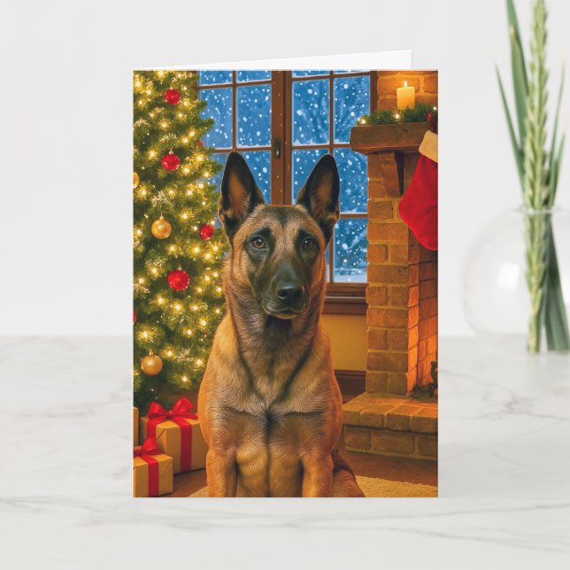 Cartes Pour Fêtes Annuelles Belgian  Malinois Holiday Card (Devant)