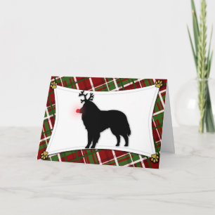 Cartes Pour Fêtes Annuelles Belgian Sheepdog Reindeer Christmas Card