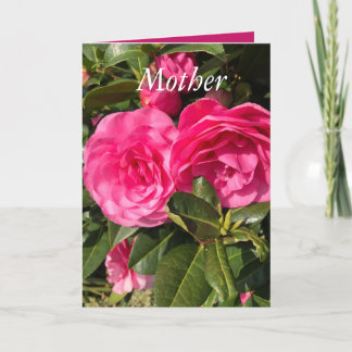 Cartes Pour Fêtes Annuelles Belle Fête des Mères de Camellia Rose