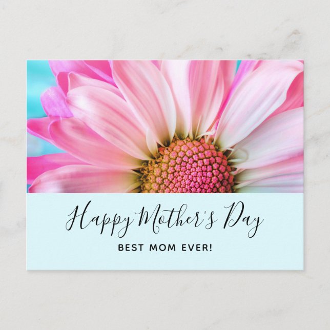 Cartes Pour Fêtes Annuelles Belle Fleur rose Fermer Photo Fête des Mères (Devant)