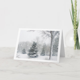 Cartes Pour Fêtes Annuelles Belle tempête de neige