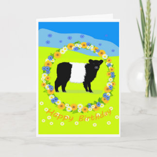Cartes Pour Fêtes Annuelles Belted Galloway calf birthday card
