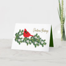 Bénédiction de Noël Cardinal rouge sur la branche 