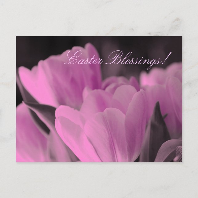 Cartes Pour Fêtes Annuelles Bénédiction de Pâques (Devant)