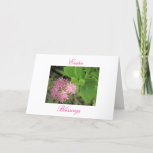 Cartes Pour Fêtes Annuelles Bénédictions de Pâques