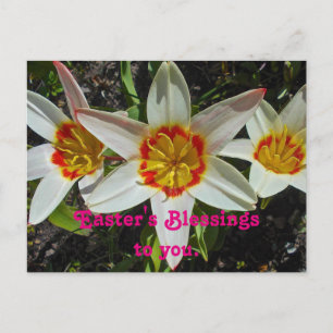 Cartes Pour Fêtes Annuelles Bénédictions florales de Pâques