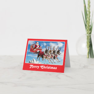 Cartes Pour Fêtes Annuelles Berger australien Reindeer