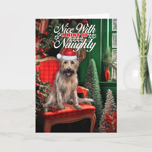 Cartes Pour Fêtes Annuelles Berger Picard Chien de Noël Naughty ou Nice (Devant)