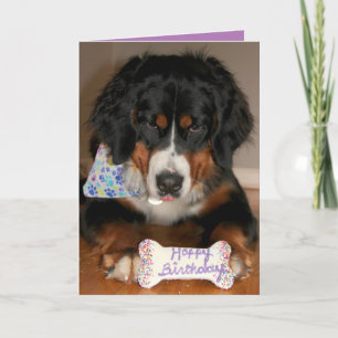 Cartes Pour Fêtes Annuelles Bernese Mountain Dog Anniversaire