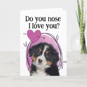 Cartes Pour Fêtes Annuelles Bernese Mountain Dog Customisé Saint Valentin