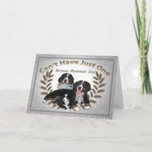 Cartes Pour Fêtes Annuelles Bernese Mt. Dog ne peut pas avoir qu'un