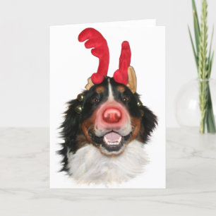 Cartes Pour Fêtes Annuelles Bernese Roodolph (Rudolph)