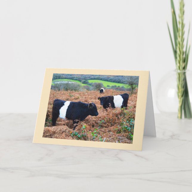 Cartes Pour Fêtes Annuelles Bestiaux de Galloway (Devant)