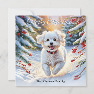 Cartes Pour Fêtes Annuelles Bichon Frise à neige mignonne Chien hiver Noël