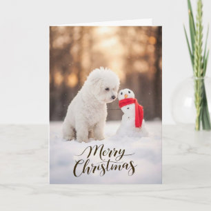 Cartes Pour Fêtes Annuelles Bichon Frise Bonhomme de Neige de Noël