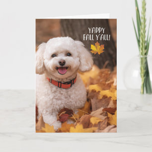 Cartes Pour Fêtes Annuelles Bichon Frise de Thanksgiving avec feuilles d'autom