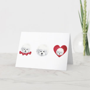 Cartes Pour Fêtes Annuelles Bichon frisé _ mix _ 