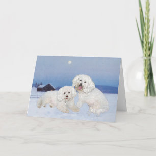 Cartes Pour Fêtes Annuelles Bichon Frise Soir de Décembre