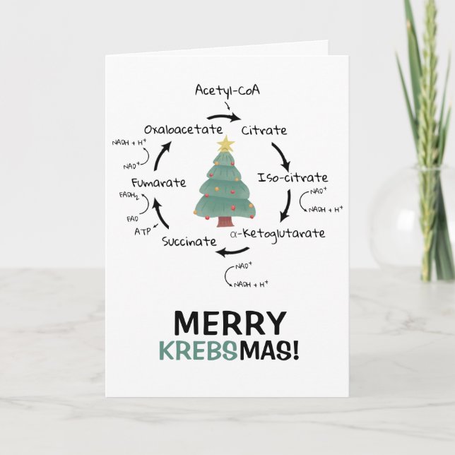 Cartes Pour Fêtes Annuelles Biologie scientifique Enseignant de Noël du cycle  (Devant)