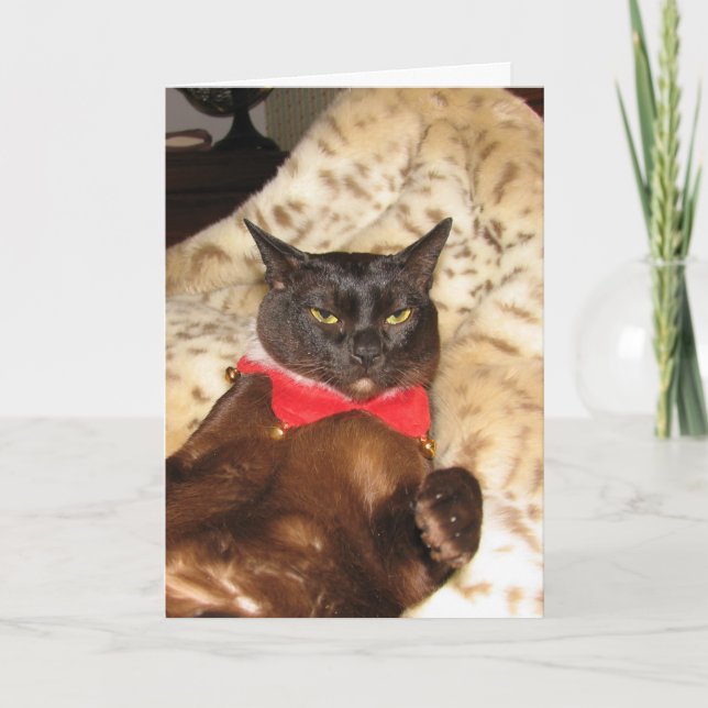 Cartes Pour Fêtes Annuelles Birman 1 de Noël de FPG - (Devant)