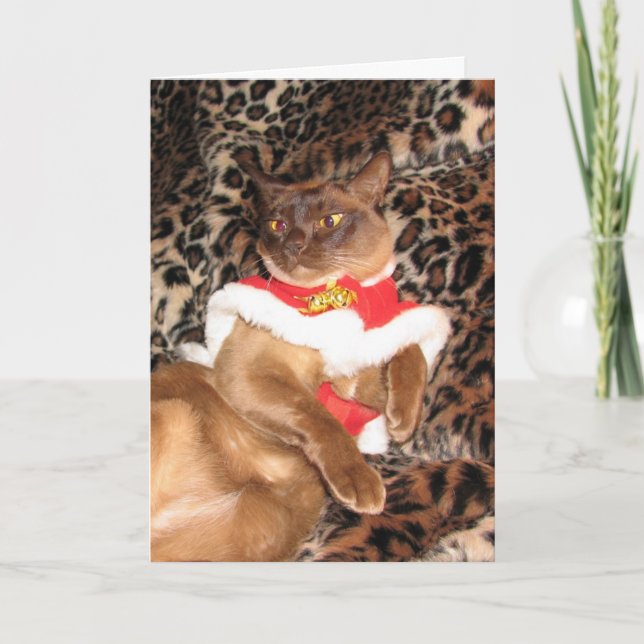 Cartes Pour Fêtes Annuelles Birman 2 de Noël de FPG - (Devant)