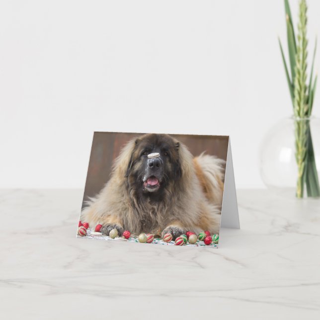 Cartes Pour Fêtes Annuelles biscuit heureux Leonberger (Devant)