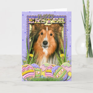 Cartes Pour Fêtes Annuelles Biscuits d'oeuf de pâques - Sheltie