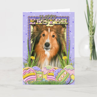 Cartes Pour Fêtes Annuelles Biscuits d'oeuf de pâques - Sheltie