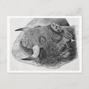 Cartes Pour Fêtes Annuelles Bison d'Amérique