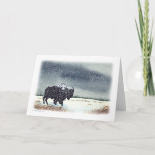 Cartes Pour Fêtes Annuelles Bison épousseté par neige
