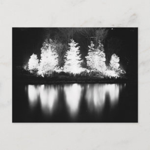 Cartes Pour Fêtes Annuelles Black and White Christmas Tree