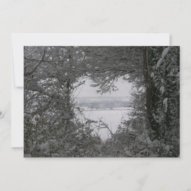 Cartes Pour Fêtes Annuelles Black and White Love Snow Heart Photo Noël (Devant)
