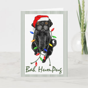 Cartes Pour Fêtes Annuelles Black Carlin Chien Bah Humpug Funny Noël