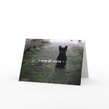 BLACK KITTEN - LOVE CARD
