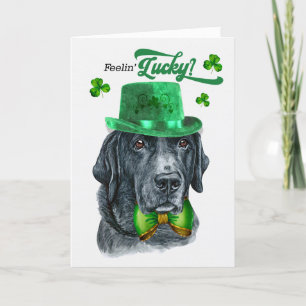 Cartes Pour Fêtes Annuelles Black Lab Dog Feelin' Lucky St Patrick's Day