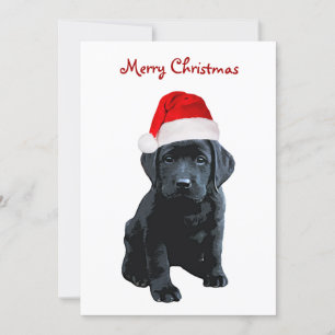 Cartes Pour Fêtes Annuelles Black Lab Joyeux Noël Labrador Chien Père Noël