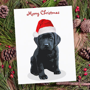 Cartes Pour Fêtes Annuelles Black Lab Joyeux Noël Labrador Père Noël Chien