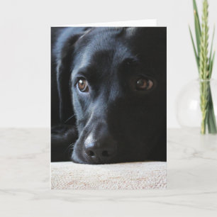 Cartes Pour Fêtes Annuelles Black Labrador