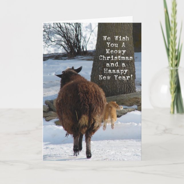 Cartes Pour Fêtes Annuelles Black Sheep and Cat, Christmas Fun (Devant)