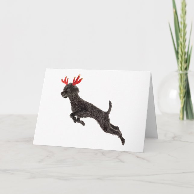 Cartes Pour Fêtes Annuelles Black Toy Poodle (Devant)