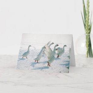Cartes Pour Fêtes Annuelles Blanc de Noël de vacances de Noël d'oies de neige