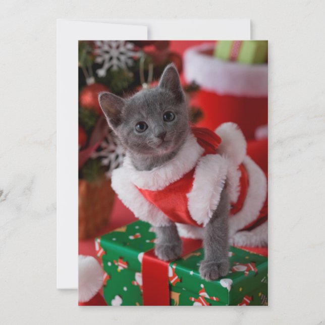 Cartes Pour Fêtes Annuelles Bleu bleu russe et Noël 2 (Devant)